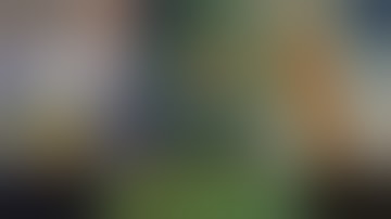 Mr Charlie!!! (M) Dry Sift Review #205