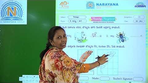 9TH SEP AP&TS CLASS III TELUGU SL AMAZING ASSIGNMENT 13 KEY