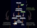 Structuring Wealth with Trust-Owned Holding Companies: Protecting Assets and Maximizing Profits