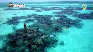 Law of the Jungle 08/16/13 Replay #1(4)