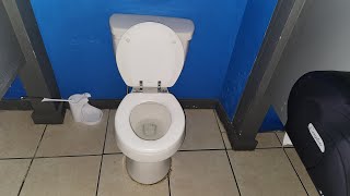 Newer Project Source toilet