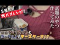 【検証】SNSで大バズったレシピは本当にチーズケーキなのか！？