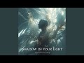 Shadow Of Your Light Feat SHELLS