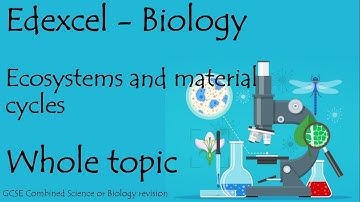 The whole of ECOSYSTEMS. Edexcel 9-1 GCSE Biology or combined science revision paper 2
