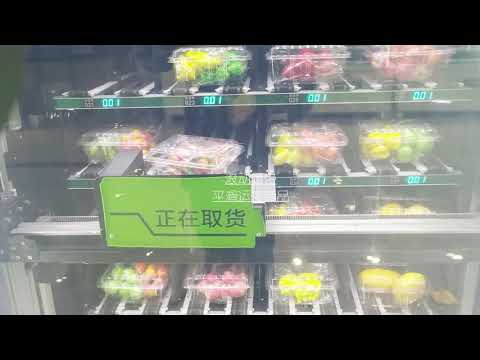 automatic cold fresh food vending machines for sale