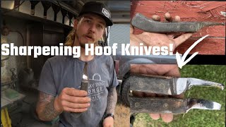 Restoring & Sharpening Hoof Knives | How to Sharpen Hoof Knife