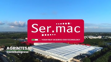 Kiwi G3 Presizer - Packing line