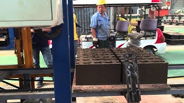 QT6-15B fully automatic block making machine line from China .contact:JoJo,Skype:linyidaxue529