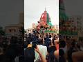 bahuda yatra puri jay Jagannath #shorts