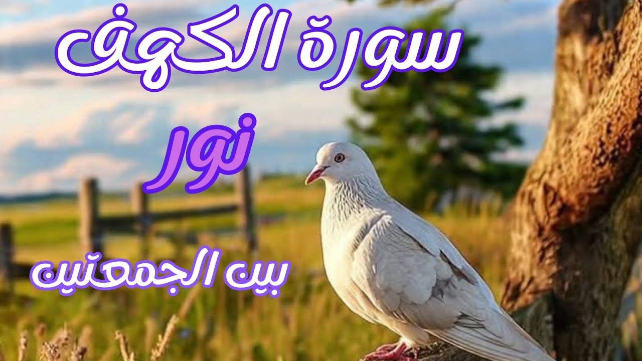 سورة الكهف نور بين الجمعتين وباب للرزق