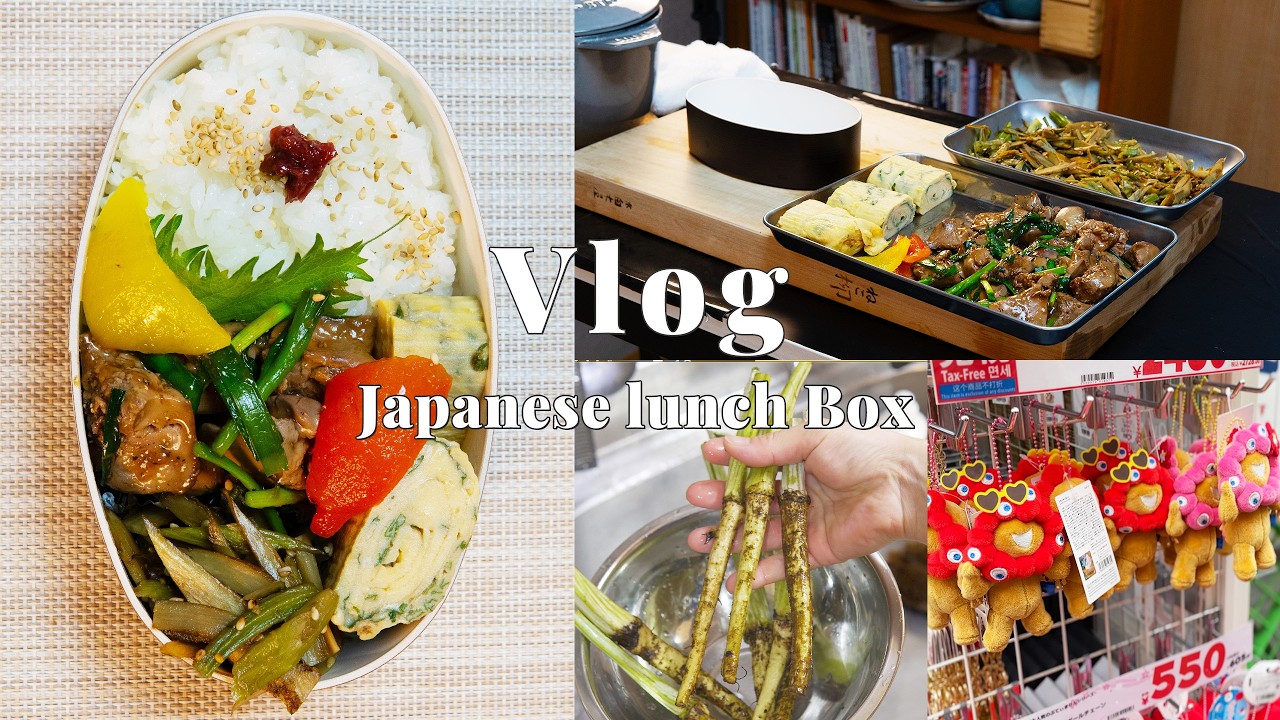 Bento Vlog | Savory Liver & Garlic Chives | Exploring 