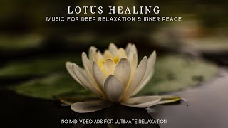 ☯️ Lotus Healing ☯️ | Calming Music for Deep Relaxation & Inner Peace by Sleep Easy Relax - Keith Smith 2,060 views 1 month ago 4 hours, 40 minutes