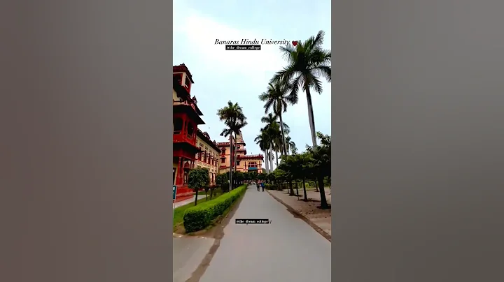Banaras Hindu University campus video ✨🥰|| BHU ❤️|| #thedreamcollege #bhuworld #shorts
