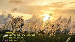 Đồng Cỏ Lau OST ( The Reed Field ) - Pulssarr x Nhã Chi | Nhạc Chill Thư Giãn Nghe Là Nghiện ⸙