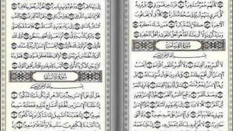 سورة القيامة للقارئ احمد حسن المزجاجي