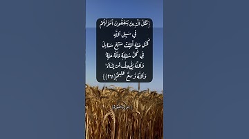 سورة البقرة الآية ٢٦١ الى ٢٦٣ بصوت الشيخ ماهر المعيقلي #القران_الكريم