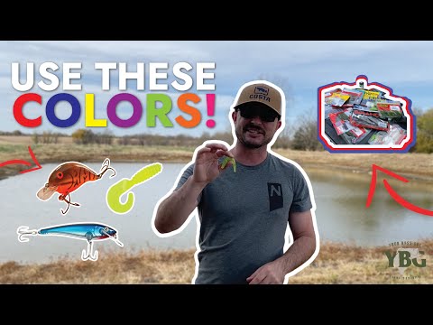 BEST Colors for Muddy Water 