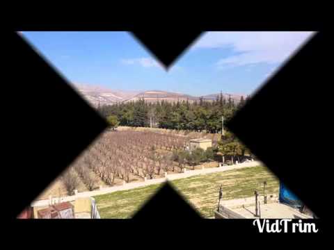 لبنان البقاع ابلح