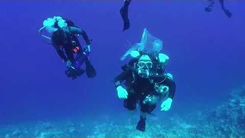 The Case for Deep Reef Protection | California Academy of Sciences