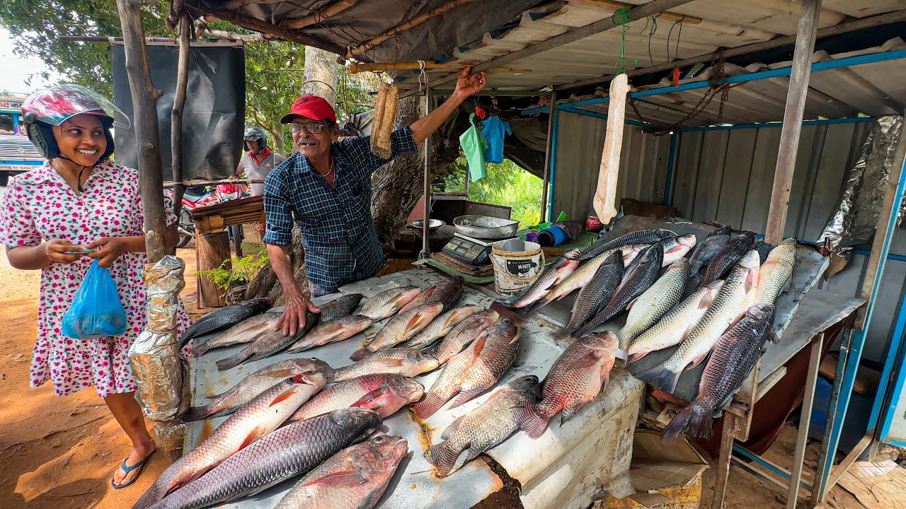 Amazing Giant Snake Head Cutting Skills – Excellent Fresh Water Fish Market In Sri Lanka