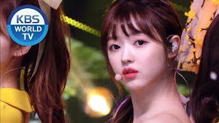 OH MY GIRL (오마이걸) - The fifth season (다섯 번째 계절)(SSFWL) [Music Bank / 2019.05.24]