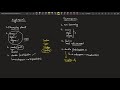 Gymnosperm and Angiosperm part - 01