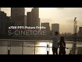 Sony a7SIII S-Cinetone Cinematic Vlog (Picture Profile PP 11)