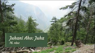 Juhani Aho: Juha története, 16.rész (hangoskönyv)