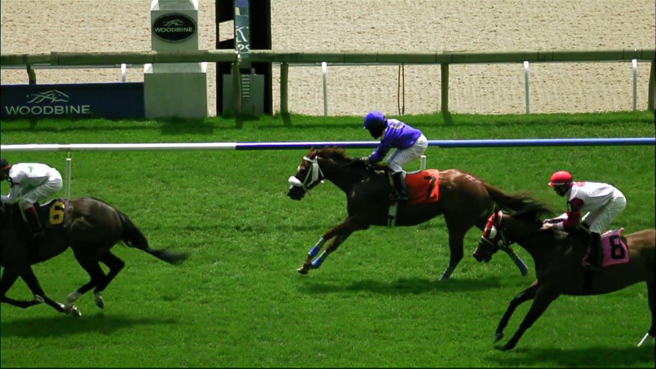 EuroTurf Series First Clockwise Race at Woodbine YouTube