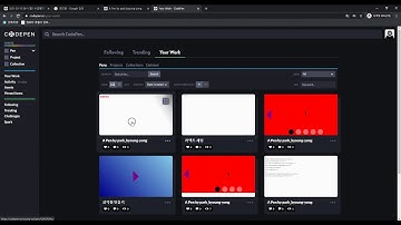 코드펜 사용방법
