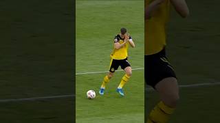 Appreciation From Schlotti