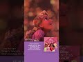 Sing-along to your favourite #Disney princess songs on Disney Princess playlist. #Moana #HowFarIllGo