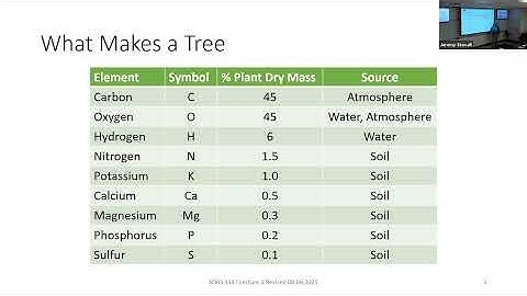 Forest Ecophysiology - SFA Silviculture Lecture (FORS 3347)