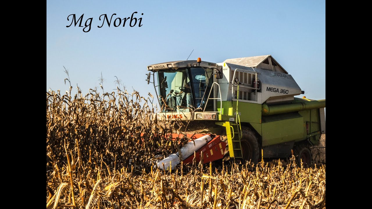 Pinkamenti Gazdák Szövetkezete - {2015} - Kukorica aratás (Claas Mega 360+2x MTZ)