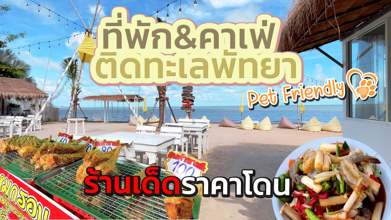 Creamii Cafe Beach พัทยา ที่พักติดทะเล สุนัขพักฟรี | พากินส้มตำแซ่บๆ ราคาถูก  @finadii