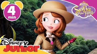 Sofia the First | Royal Vacation | Disney Junior UK