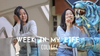 Week in the Life of a College Student | University of Memphis