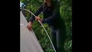 Collect Drinking Water from Thin Air 🌿💧 Bushcraft Survival Hack