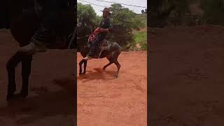 Aow mula da boca quente! Essa tem pressão ✅️