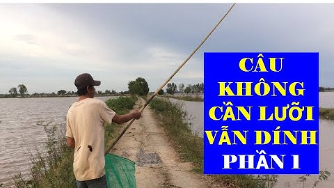 CẢNH CÂU ẾCH MÙA NƯỚC LŨ VỀ MIỀN TÂY - PHẦN 1