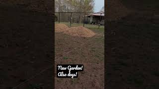 Walking into the new spring herb garden!         etsy.com/shop/FivePointsApothecary