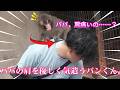 【感動】パパの肩を優しく気遣うパンチくん 🐒。（笑）それに応える飼育員さんの幸せ溢れる笑顔😚。#パンチくん #市川市動植物園