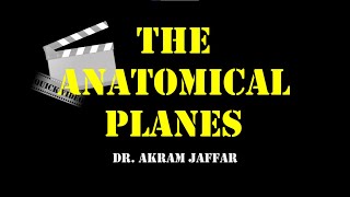 Anatomical planes Profile