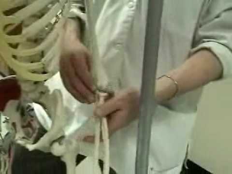 review 3.wmv