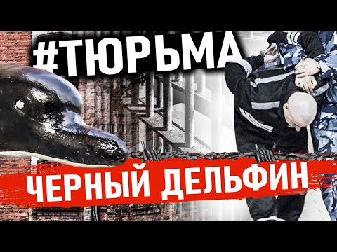 ЧЕРНЫЙ ДЕЛЬФИН! Самая Опасная Тюрьма Для ПОЖИЗНЕННО ЗАКЛЮЧЕННЫХ | ИК-6 Черный дельфин