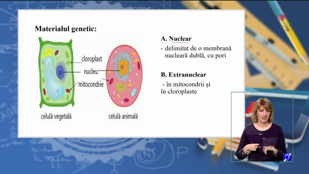 TeleŞcoala: Biologie clasa a XII-a – Organizarea materialului genetic la virusuri