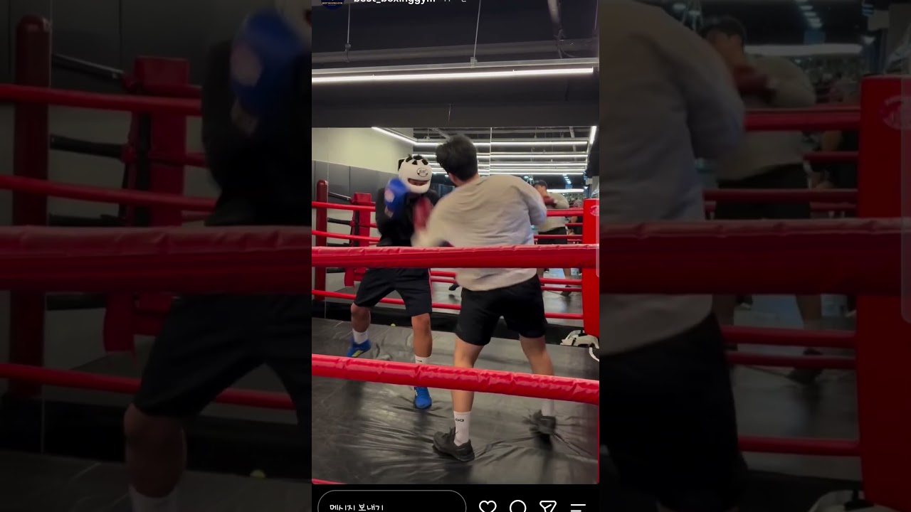 부산 명지 베스트복싱짐 쵝오의 회원님들간의 스파링!!!!!!