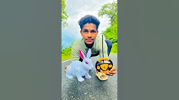 Remote control Rabbit 🐇 unboxing #rabbit #unboxing #shorts