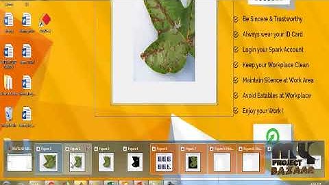 A Survey on Diseases Detection and Classification of Cotton Leaf