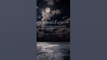 الآية 10 من سورة لقمان. #قرآن #قرآن_كريم #قران_كريم #آيات #quran #ayat